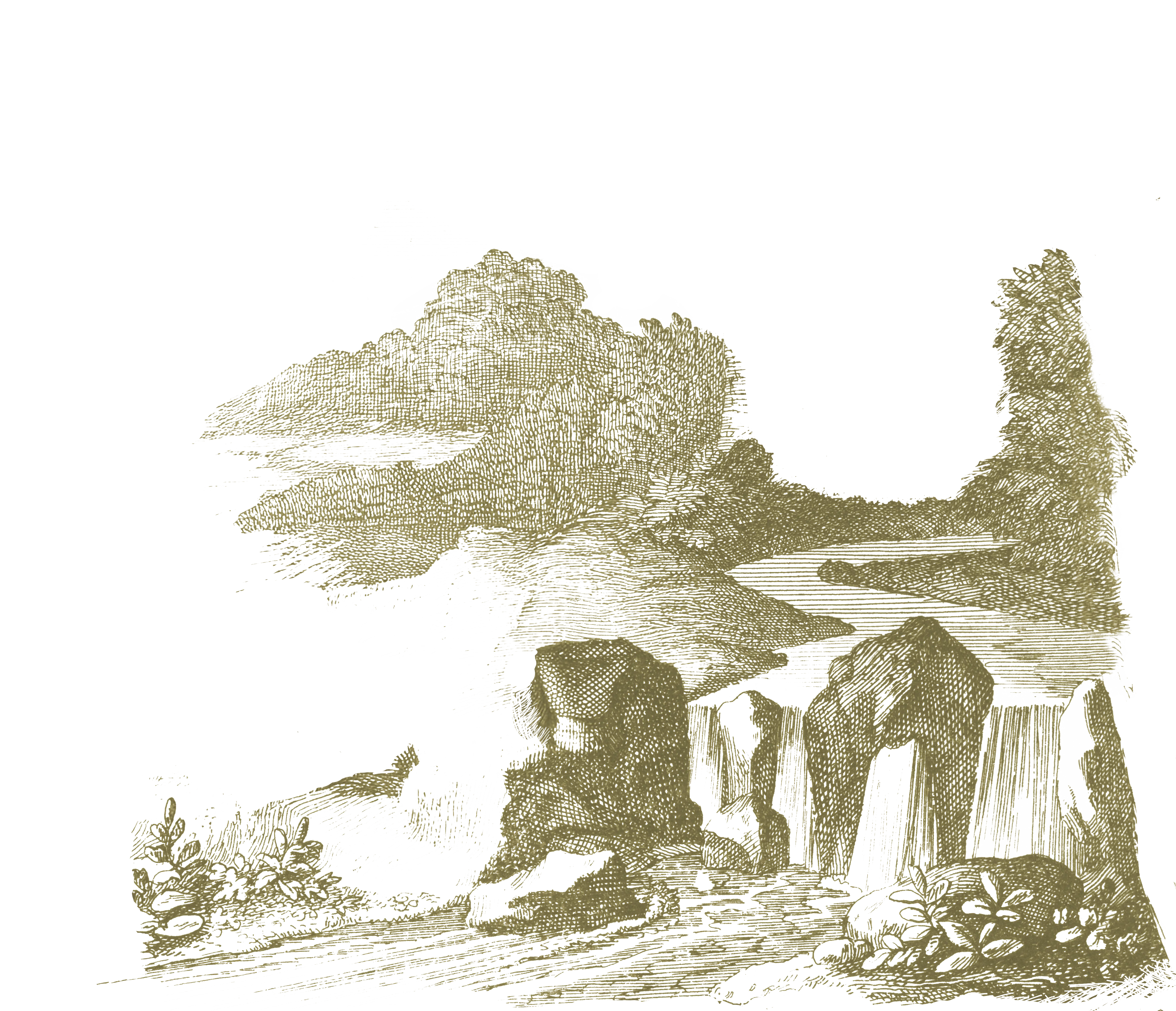 Vintage decorative graphic